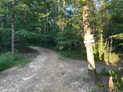 000 Private Road 4485, Ozone, Арканзас 72854, Соединенные Штаты