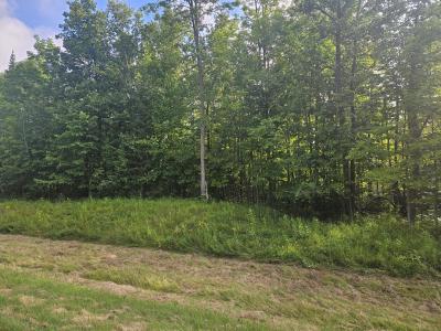 Lt 1 Blk 1 County Rd 238, Deer River, Minnesota 56636, États-Unis