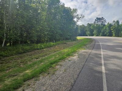 Lt 1 Blk 1 County Rd 238, Deer River, Minnesota 56636, États-Unis