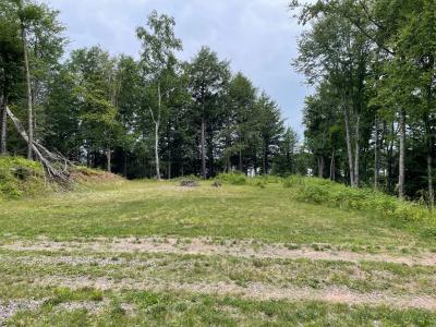 Lot 4 E Cisco Lake Rd, Watersmeet, Michigan 49969, USA