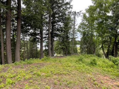 Lot 4 E Cisco Lake Rd, Watersmeet, Michigan 49969, Estados Unidos