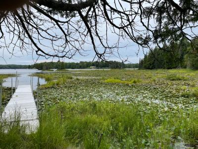 Lot 4 E Cisco Lake Rd, Watersmeet, Michigan 49969, Estados Unidos