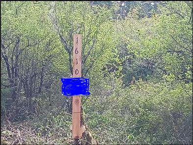 1610 147th Place , Long Beach, Вашингтон 98631, Соединенные Штаты