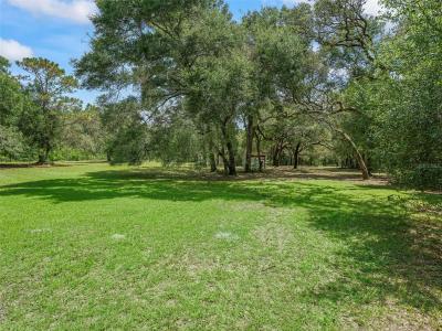 11765 SW 47TH DRIVE, Webster, 佛罗里达州 33597, 美国