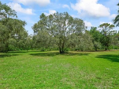 11765 SW 47TH DRIVE, Webster, 佛罗里达州 33597, 美国