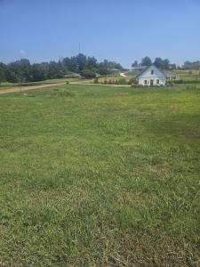 Lot 11 Wynridge Dr, Troy, Tennessee 38260, HOA KỲ