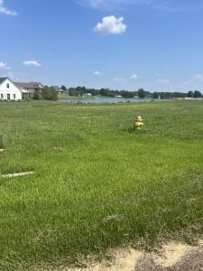 Lot 11 Wynridge Dr, Troy, Tennessee 38260, HOA KỲ