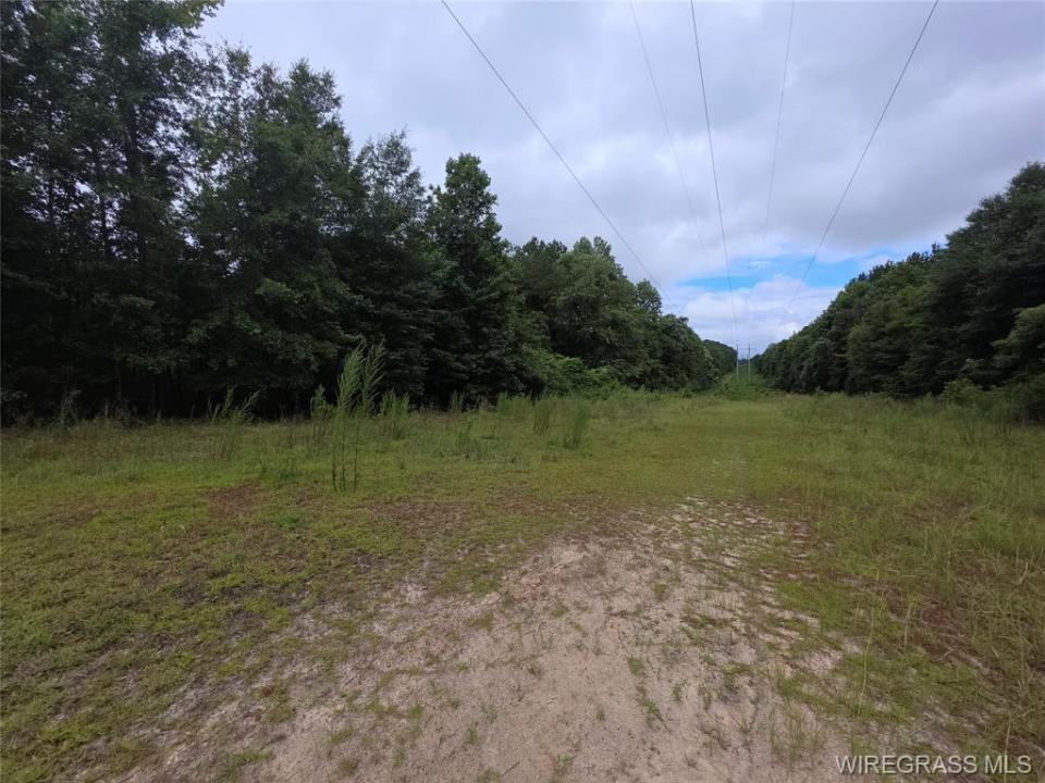 000 Hiway 134, Daleville, Alabama 36322