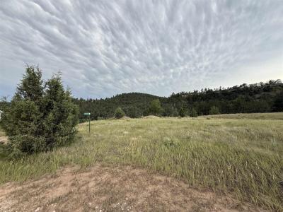 27559 Denise Drive, Hot Springs, サウスダコタ 57747, アメリカ合衆国