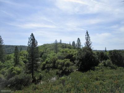 24271 Hoyt Crossing Road, North San Juan, Калифорния 95960, Соединенные Штаты