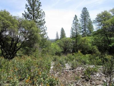 24271 Hoyt Crossing Road, North San Juan, Калифорния 95960, Соединенные Штаты