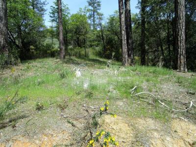 24271 Hoyt Crossing Road, North San Juan, Калифорния 95960, Соединенные Штаты