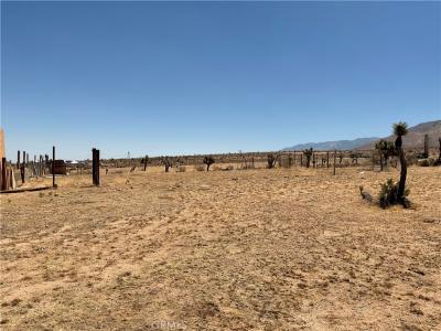 1 Luna Mountain Road, Apple Valley, California 92308, USA