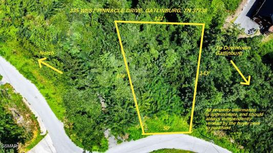 335 Pinnacle Drive, Gatlinburg, Tennessee 37738, États-Unis