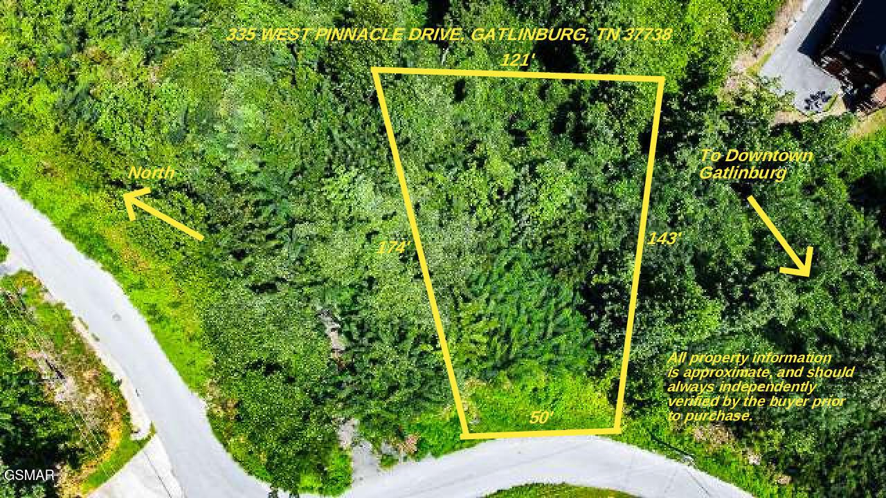 335 Pinnacle Drive, Gatlinburg, 田納西州 37738, 美國