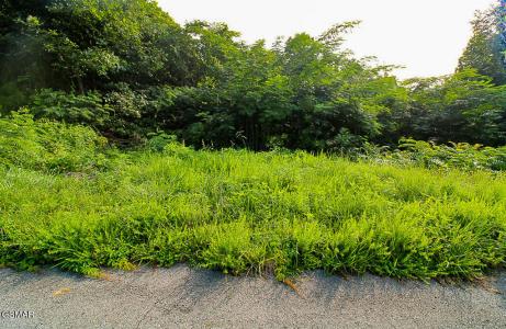 335 Pinnacle Drive, Gatlinburg, 田納西州 37738, 美國