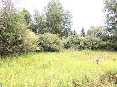 970 N Rolland Road, Lake Isabella, Michigan 48893, Estados Unidos