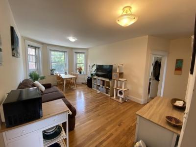 77 Parkman Street , #4, Brookline, Massachusetts 02446