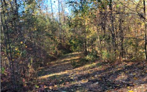 14 AC Old Burnt Mountain, Ellijay, Géorgie 30540, États-Unis