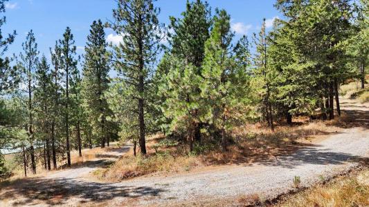 4107 S GHERING Ln, Spokane, ワシントン 99223, アメリカ合衆国