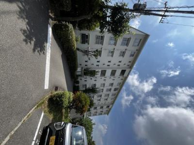 401, ひよどり台３丁目9, ひよどり台三団地18号棟401号室, 神戸市北区, Hyogo 651-1123, Nhật Bản