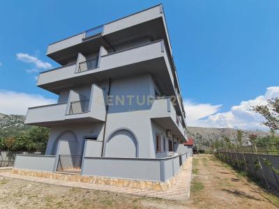 Shëngjin, Shëngjin, Albania