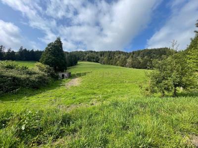 Povoação, 상미겔 섬 9650-000, 포르투갈