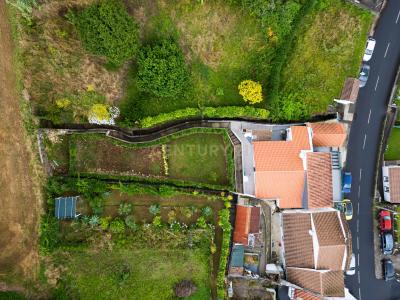 Nordeste, São Miguel Island 9630-230, Portugal