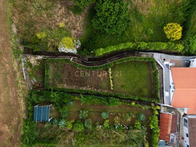 Nordeste, São Miguel Island 9630-230, Portugal