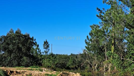 Setúbal, Setúbal 2925-114, Portugal