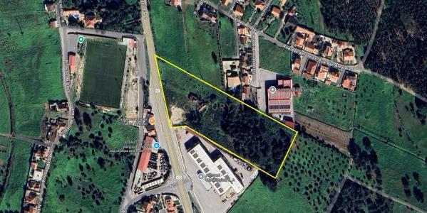 Alenquer, Lisbon 2580-243, Portugal