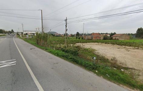 Alenquer, Lisbon 2580-243, Portugal