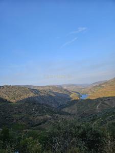 São João Da Pesqueira, Viseu 5130-355, Portugal