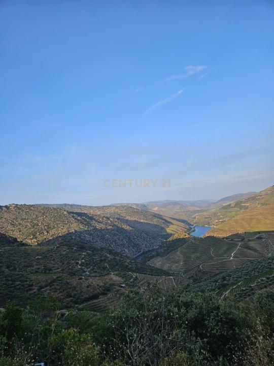 São João Da Pesqueira, 維塞島 5130-355, 葡萄牙