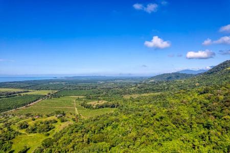 Savegre Quepos, Puntarenas 00001, Costa Rica