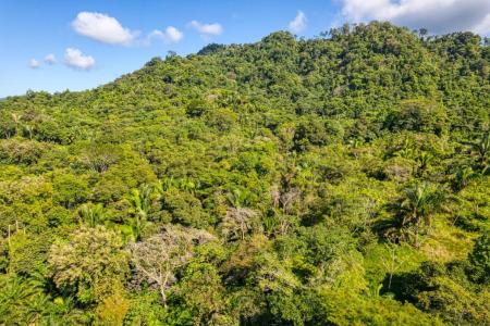 Savegre Quepos, Puntarenas 00001, Costa Rica