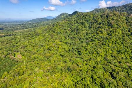 Savegre Quepos, Puntarenas 00001, Costa Rica