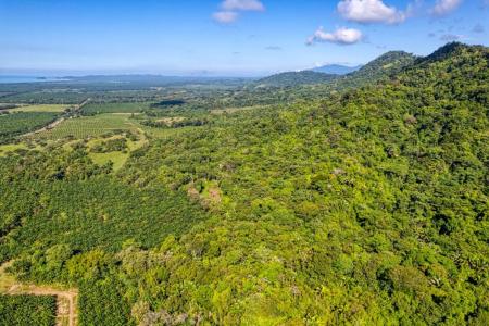 Savegre Quepos, Puntarenas 00001, Costa Rica