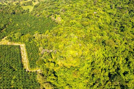 Savegre Quepos, Puntarenas 00001, Costa Rica