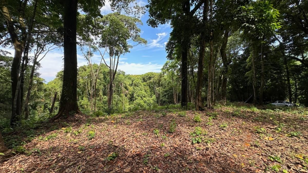 Savegre Quepos, Puntarenas 00001, Costa Rica