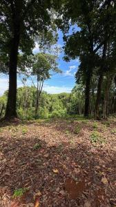 Savegre Quepos, Puntarenas 00001, Costa Rica