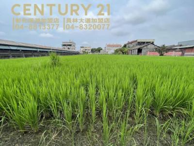 永昌段, Puyan Township, Changhua County 516, Taïwan