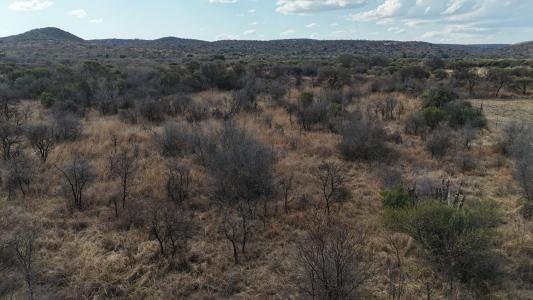 Bela Bela, Limpopo, 南非