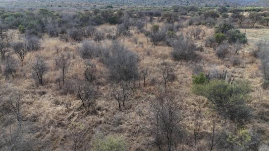 Bela Bela, Limpopo, 南非