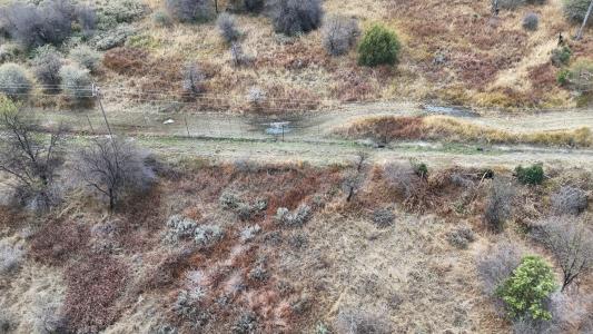 Bela Bela, Limpopo, 南非