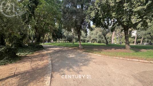 הורקניה, Jerusalem, Israel 