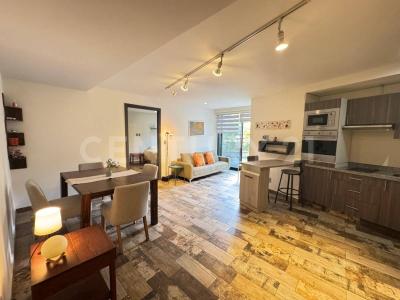 Casiopea 2,, San Andrés Cholula, פואבלה 72820, מקסיקו