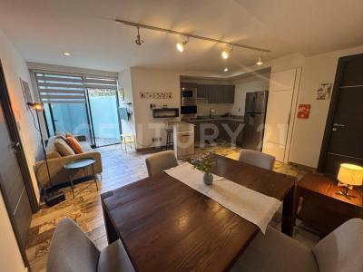 Casiopea 2,, San Andrés Cholula, פואבלה 72820, מקסיקו