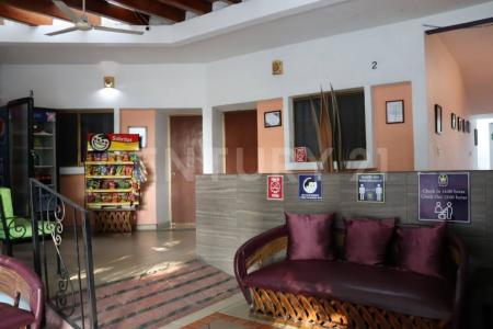 Colima, Colima 28000, México