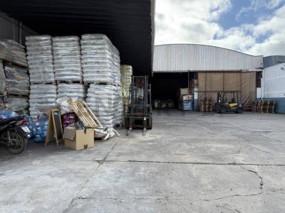 141 y 44 222, La Plata, GBA Sur 1900, Argentina